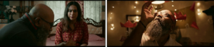 Nonsense Bengla web series 2025