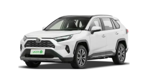 Toyota RAV4 (SUV)