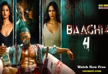 Baaghi 4 (2025) ফুল রিভিউ