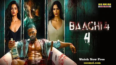 Baaghi 4 (2025) ফুল রিভিউ