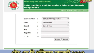 এইচ এস সি পরীক্ষার রেজাল্ট ২০২৫