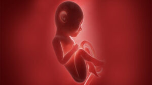 কিভাবে সহবাস করলে ছেলে সন্তান হয়