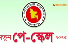 নতুন পে স্কেল ২০২৫