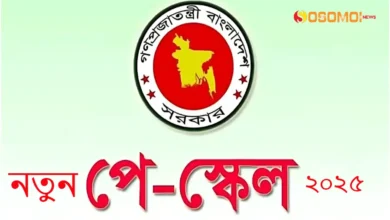 নতুন পে স্কেল ২০২৫