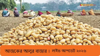 আজকের আলুর বাজার